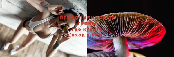 спайс Аркадак