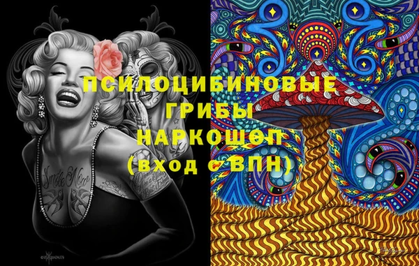 ешки Арсеньев